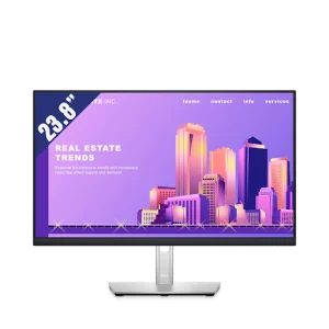 Màn hình LCD Dell 23.8 inch P2422H (1920x1080, IPS, 60Hz, 5ms GtG)